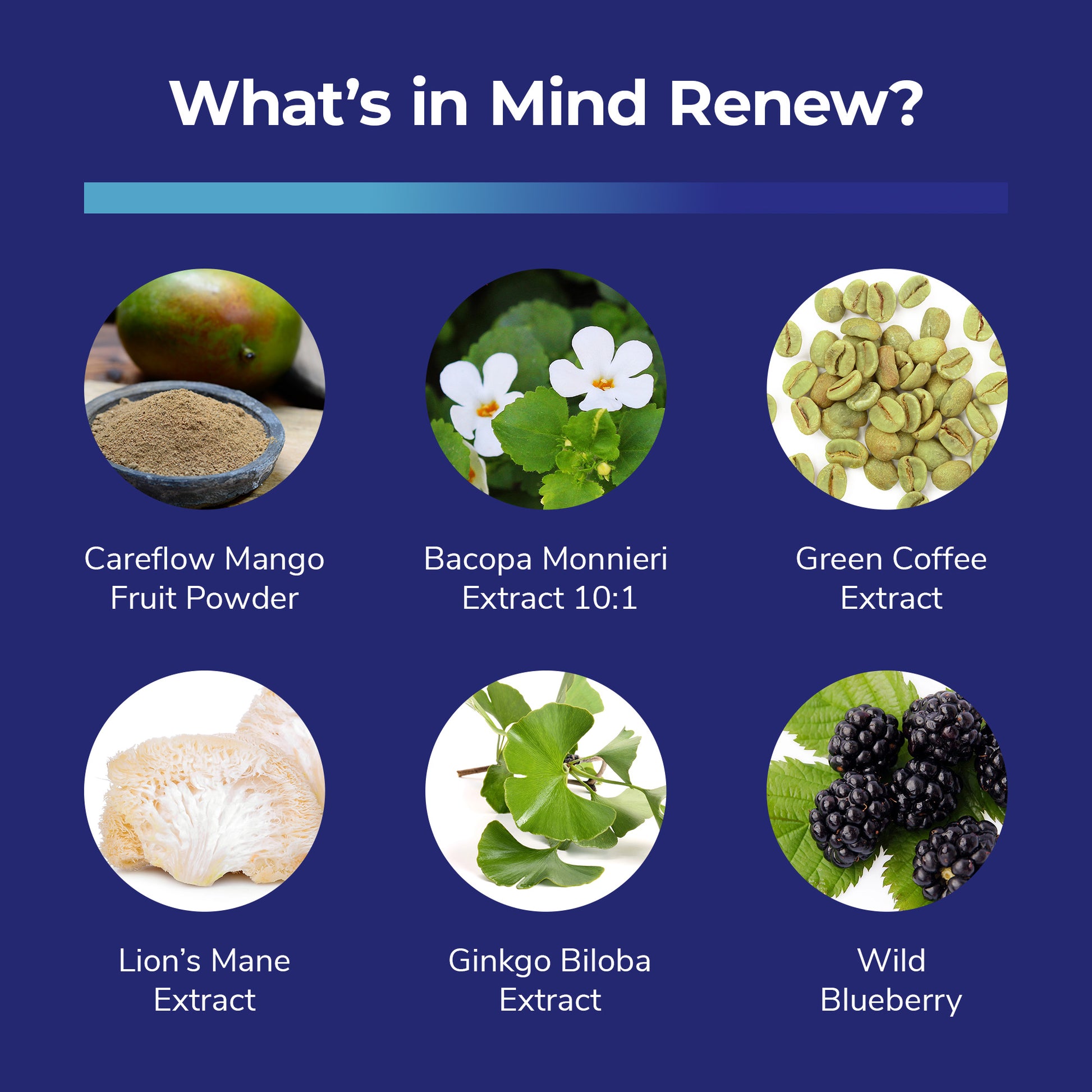 List of six ingredients that are in Mind Renew.