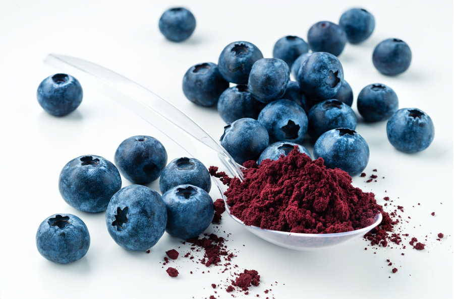Wild Blueberry Extract 